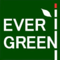 EVER GREEN